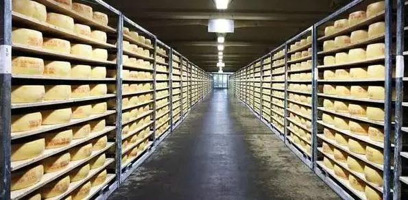 发那科五种不同型号机器人接力奶酪包装